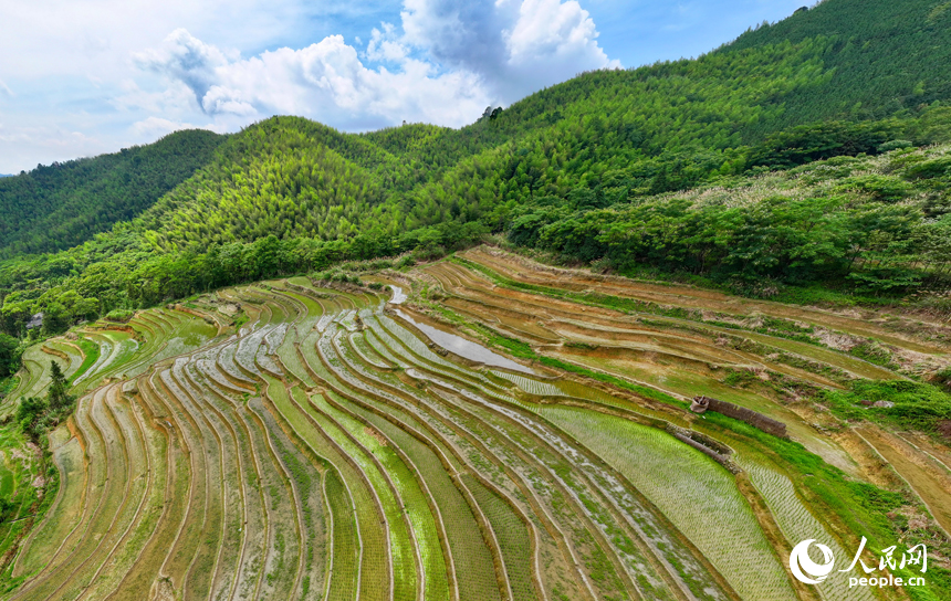赣州市大余县河洞乡长岭村，阡陌纵横的高山梯田与青翠的树木、错落的农房相映成景。人民网记者 朱海鹏摄