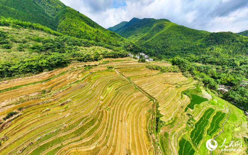 赣州市大余县河洞乡长岭村，阡陌纵横的高山梯田与青翠的树木、错落的农房相映成景。人民网记者 朱海鹏摄