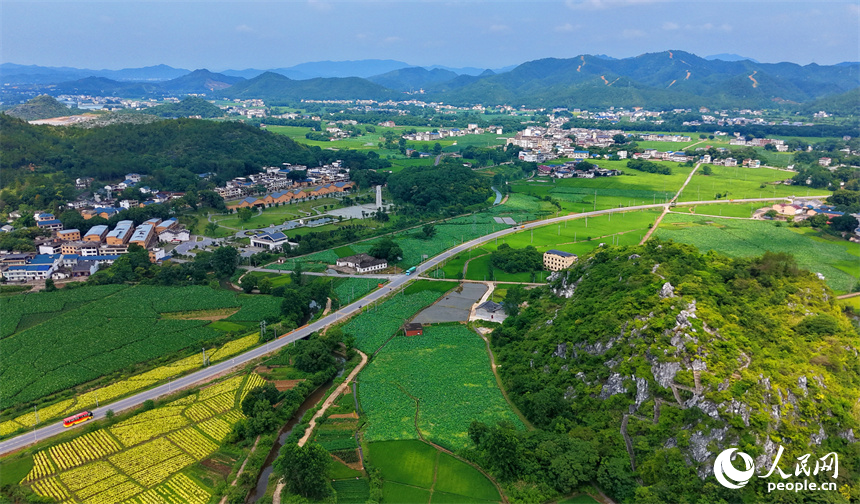 瑞金市雲石山鄉黃陂村，蜿蜒向前的農村公路上車輛往來馳騁，路邊綠意盎然的農田與鱗次櫛比的農房相映襯，構成一幅路暢景美的夏日田園畫卷。人民網記者 朱海鵬攝