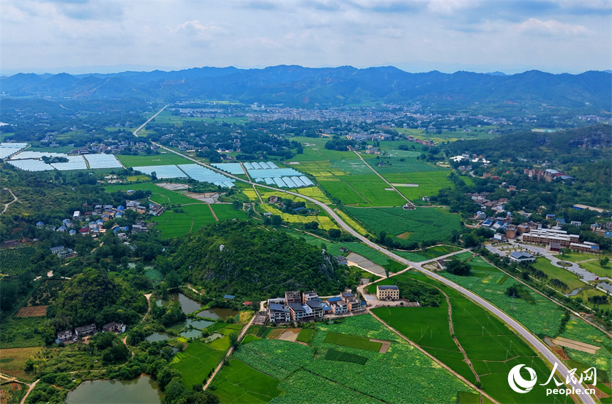 瑞金市云石山乡黄陂村，蜿蜒向前的农村公路上车辆往来驰骋，路边绿意盎然的农田与鳞次栉比的农房相映衬，构成一幅路畅景美的夏日田园画卷。人民网记者 朱海鹏摄