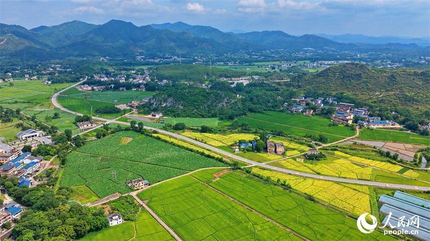 瑞金市云石山乡黄陂村，蜿蜒向前的农村公路上车辆往来驰骋，路边绿意盎然的农田与鳞次栉比的农房相映衬，构成一幅路畅景美的夏日田园画卷。人民网记者 朱海鹏摄