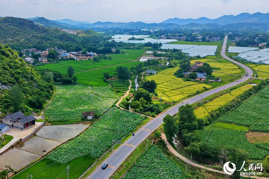 果蔬專業合作社種植基地，連片分布的鋼架薄膜大棚與田園、農房相互映襯，構成一幅業興景美的夏日鄉村畫卷。人民網記者 朱海鵬攝