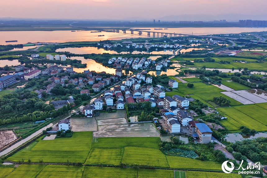 南昌县富山乡滩上村，早稻渐黄，田园与农房相映成画。人民网记者 朱海鹏摄