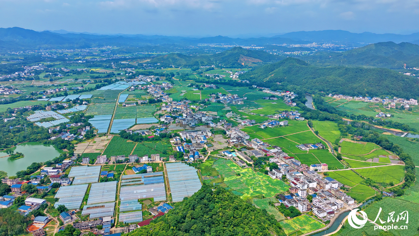 會昌縣西江鎮蓮石村，錯落有致的農房與遠山、河流、農業大棚相映成景，構成一幅綠意盎然的和美鄉村畫卷。人民網記者 朱海鵬攝
