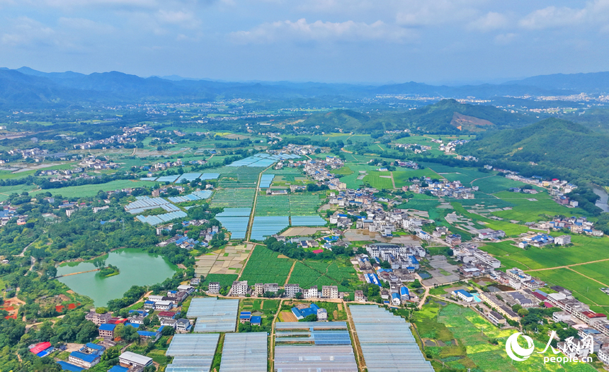 会昌县西江镇莲石村，错落有致的农房与远山、河流、农业大棚相映成景，构成一幅绿意盎然的和美乡村画卷。人民网记者 朱海鹏摄