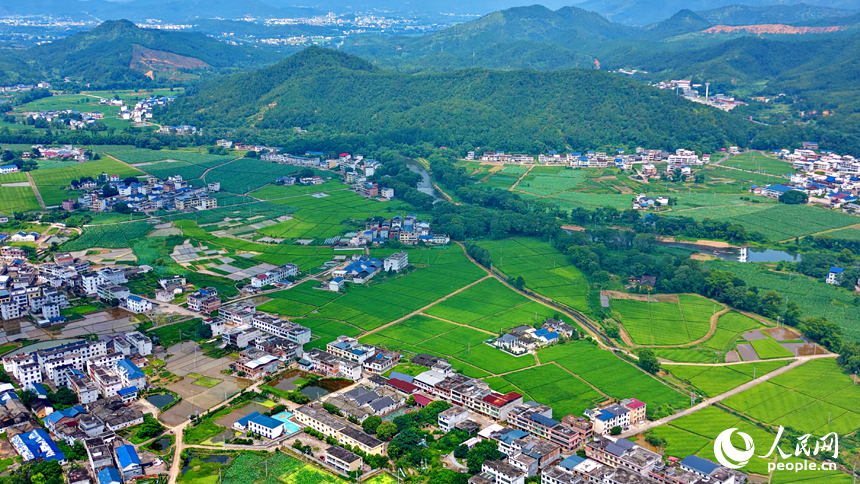 会昌县西江镇莲石村，错落有致的农房与远山、河流、农业大棚相映成景，构成一幅绿意盎然的和美乡村画卷。人民网记者 朱海鹏摄