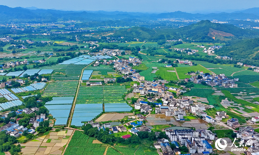 会昌县西江镇莲石村，错落有致的农房与远山、河流、农业大棚相映成景，构成一幅绿意盎然的和美乡村画卷。人民网记者 朱海鹏摄