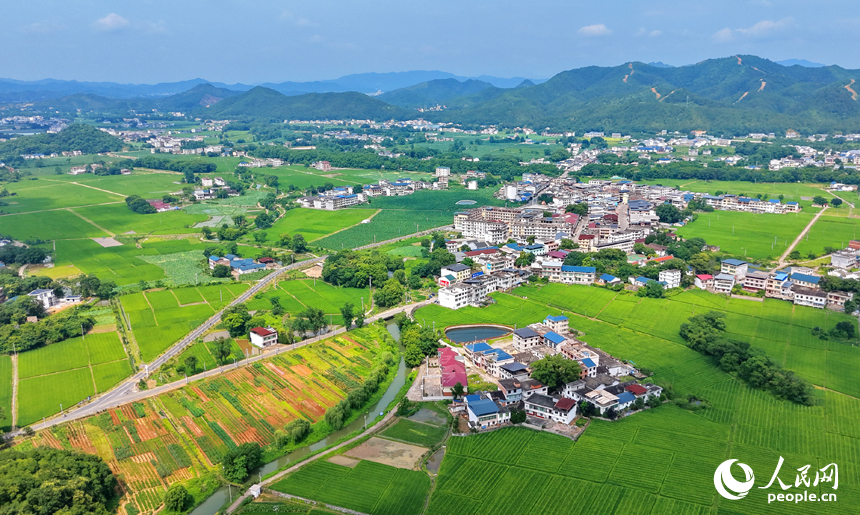 会昌县西江镇莲石村，错落有致的农房与远山、河流、农业大棚相映成景，构成一幅绿意盎然的和美乡村画卷。人民网记者 朱海鹏摄