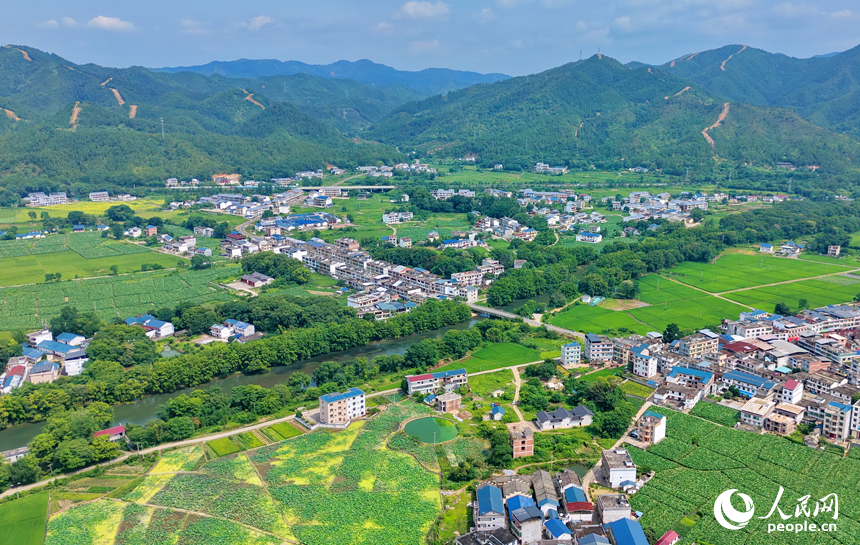 会昌县西江镇莲石村，错落有致的农房与远山、河流、农业大棚相映成景，构成一幅绿意盎然的和美乡村画卷。人民网记者 朱海鹏摄