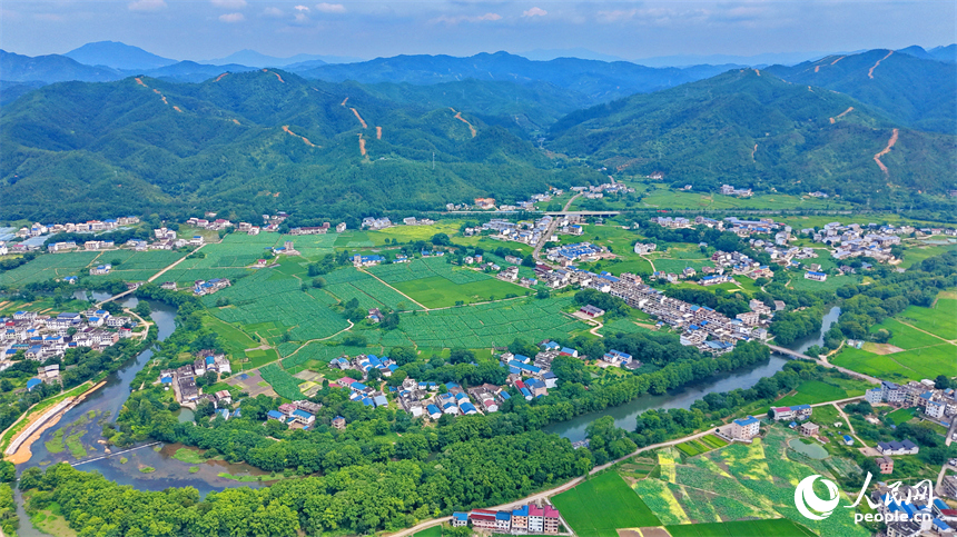 瑞金市雲石山鄉沿壩村，蜿蜒的灌溉水渠與村庄、河流、農田相互映襯，構成一幅仲夏時節水清岸綠的美麗鄉村畫卷。人民網記者 朱海鵬攝