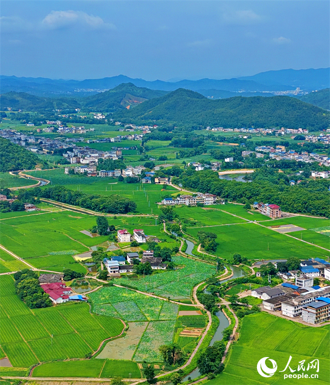 瑞金市云石山乡沿坝村，蜿蜒的灌溉水渠与村庄、河流、农田相互映衬，构成一幅仲夏时节水清岸绿的美丽乡村画卷。人民网记者 朱海鹏摄