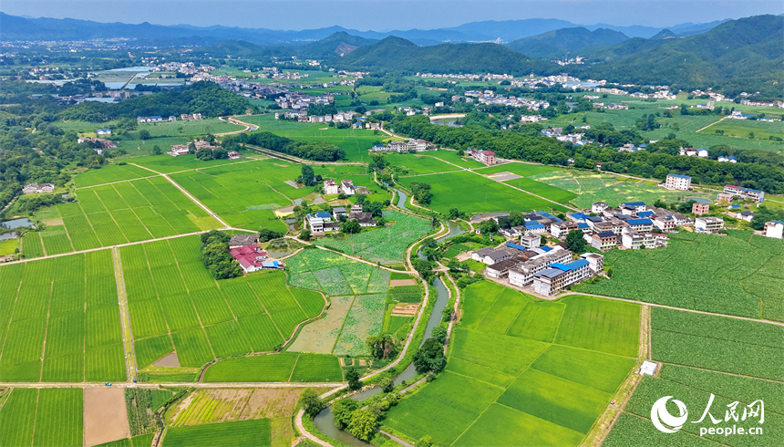 瑞金市云石山乡沿坝村，蜿蜒的灌溉水渠与村庄、河流、农田相互映衬，构成一幅仲夏时节水清岸绿的美丽乡村画卷。人民网记者 朱海鹏摄