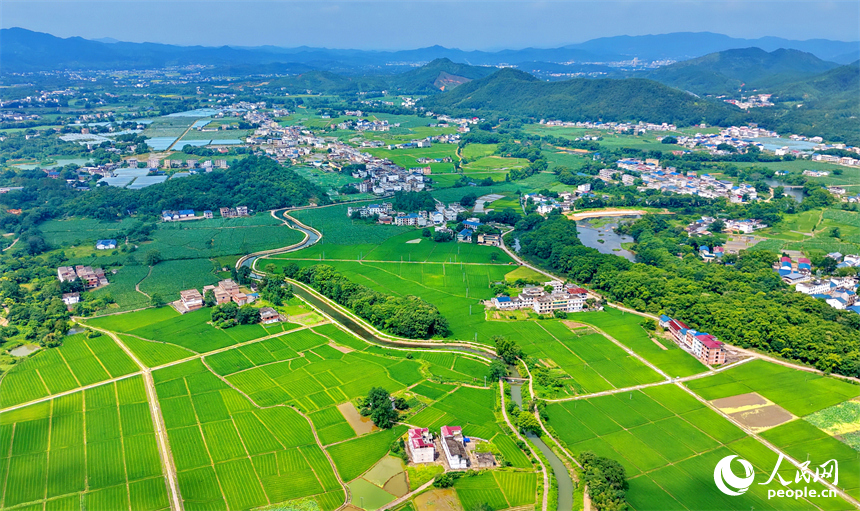瑞金市云石山乡沿坝村，蜿蜒的灌溉水渠与村庄、河流、农田相互映衬，构成一幅仲夏时节水清岸绿的美丽乡村画卷。人民网记者 朱海鹏摄