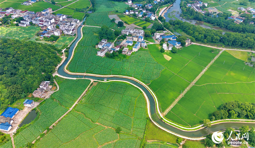 瑞金市云石山乡沿坝村，蜿蜒的灌溉水渠与村庄、河流、农田相互映衬，构成一幅仲夏时节水清岸绿的美丽乡村画卷。人民网记者 朱海鹏摄