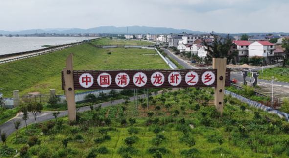 一田双收，“虾”稻共富路
