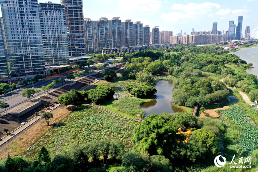盛夏時節，漁舟灣濕地公園內生機盎然。人民網記者 時雨攝