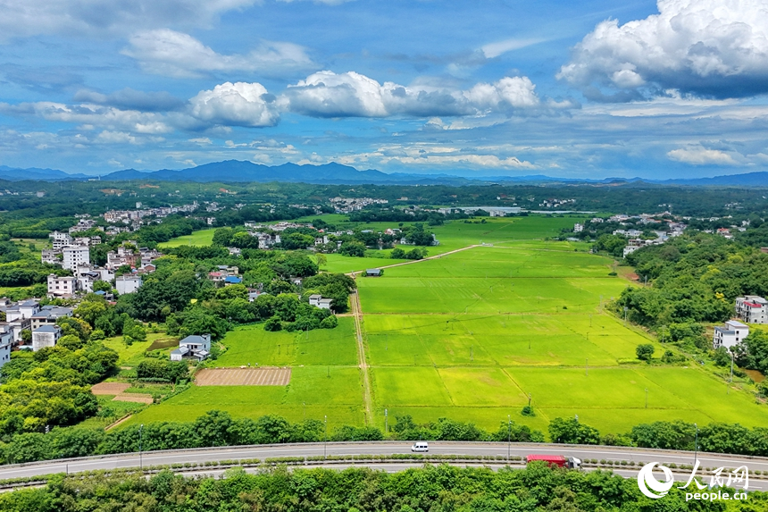 信丰县西牛镇上彭村，穿村而过的南龙高速公路与鳞次栉比的房屋、绿意盎然的田园相互映衬，构成一幅盛夏时节路畅景美的乡村画卷。人民网记者 朱海鹏
