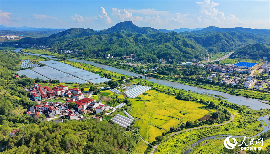 贛州市石城縣琴江鎮江背村，豐收時節的鄉村美景怡人。人民網記者 朱海鵬攝