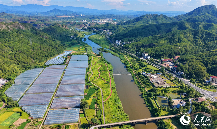 赣州市石城县琴江镇江背村，丰收时节的乡村美景怡人。人民网记者 朱海鹏摄