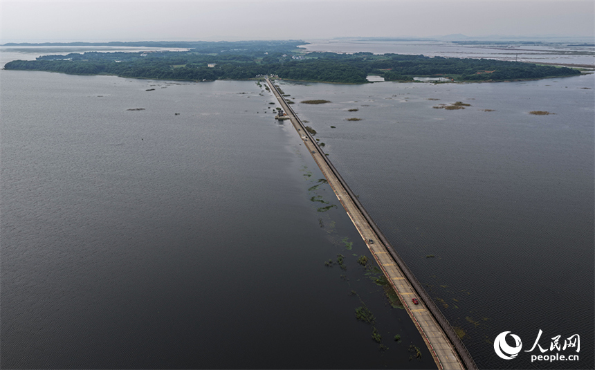 江西永修县鄱阳湖区的永吴公路大湖池段，再现“水上公路”奇观。人民网记者 时雨摄