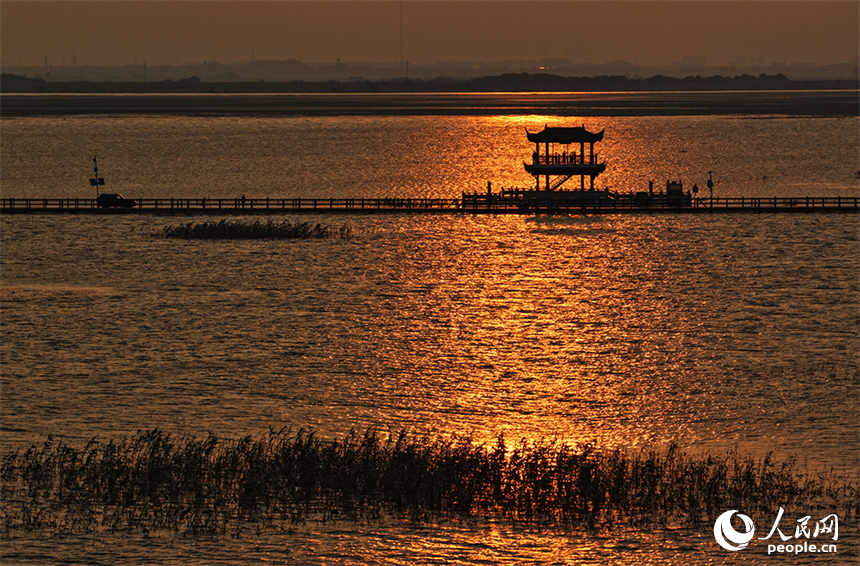 夕阳西下，金色余晖洒满湖面，远处的望湖亭剪影与粼粼波光相映成趣。人民网记者 时雨摄
