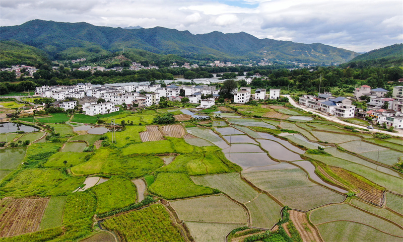 田园风光入画来