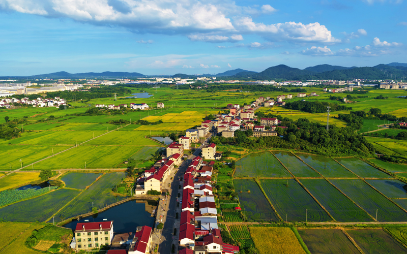 江西永修：蓝天碧水 田园如画
