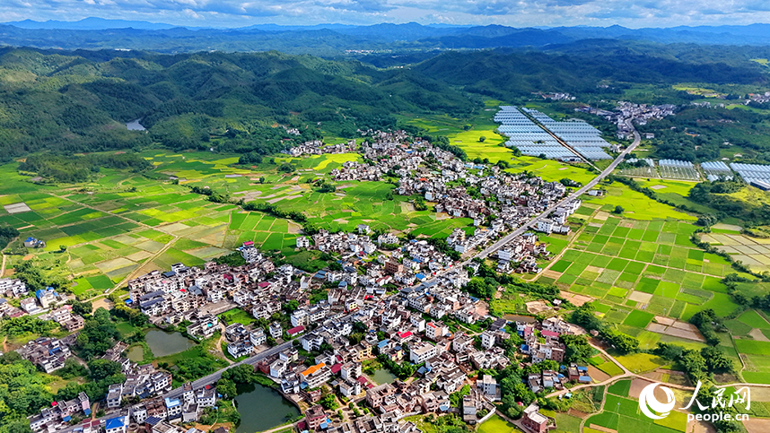 赣州市信丰县正平镇中坝村，连片的高标准农田水稻渐次泛黄，与村居屋舍、蜿蜒道路、绵延青山相映成景，勾勒出一派秀美的乡村田园夏季风光。人民网记者 朱海鹏摄