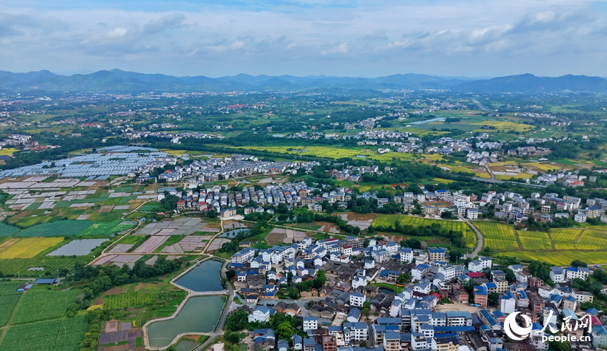 瑞金市叶坪镇叶坪村，青山巍峨、绿树葱茏，纵横交织的稻田与错落分布的农房相得益彰，构成一幅色彩斑斓的乡村画卷。人民网记者 朱海鹏摄