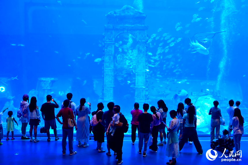 游客近距离观赏海洋生物。人民网记者 朱海鹏摄