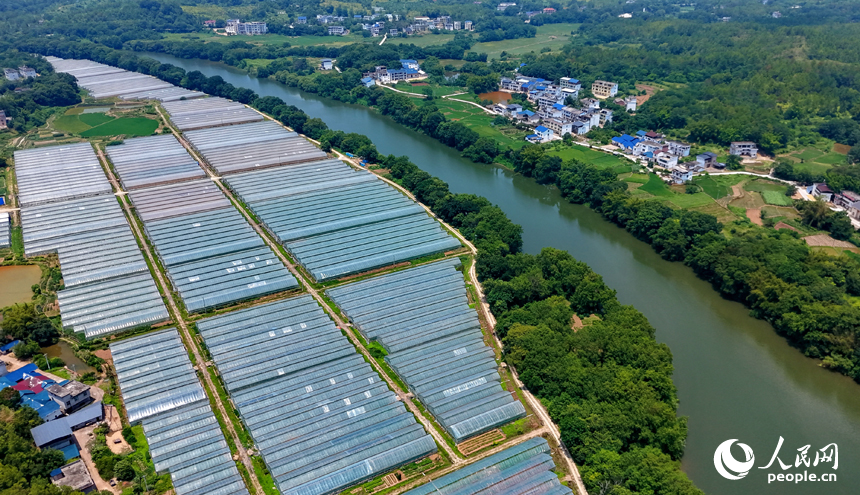 蜿蜒的河道水量充沛，與鱗次櫛比的蔬菜大棚、村庄房舍相互映襯，構成一幅水潤田疇的和美鄉村畫卷。人民網記者 朱海鵬攝