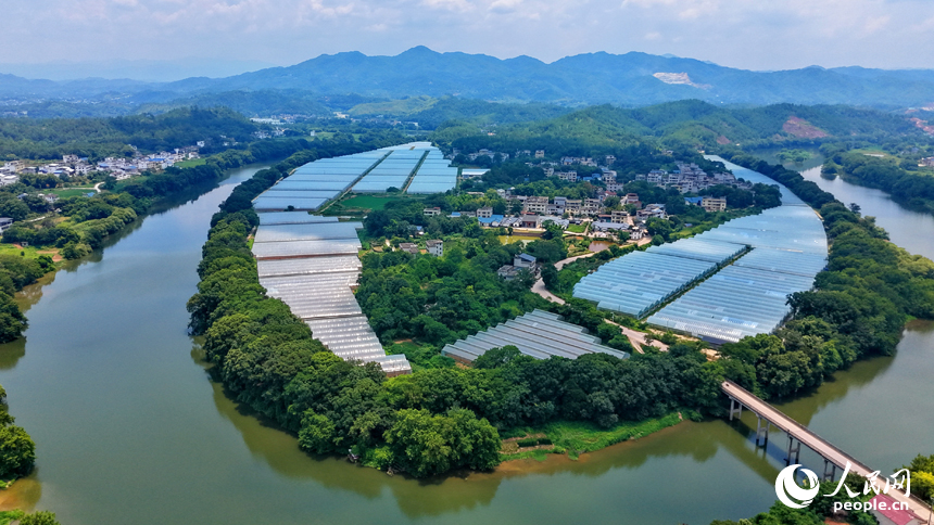 蜿蜒的河道水量充沛，與鱗次櫛比的蔬菜大棚、村庄房舍相互映襯，構成一幅水潤田疇的和美鄉村畫卷。人民網記者 朱海鵬攝