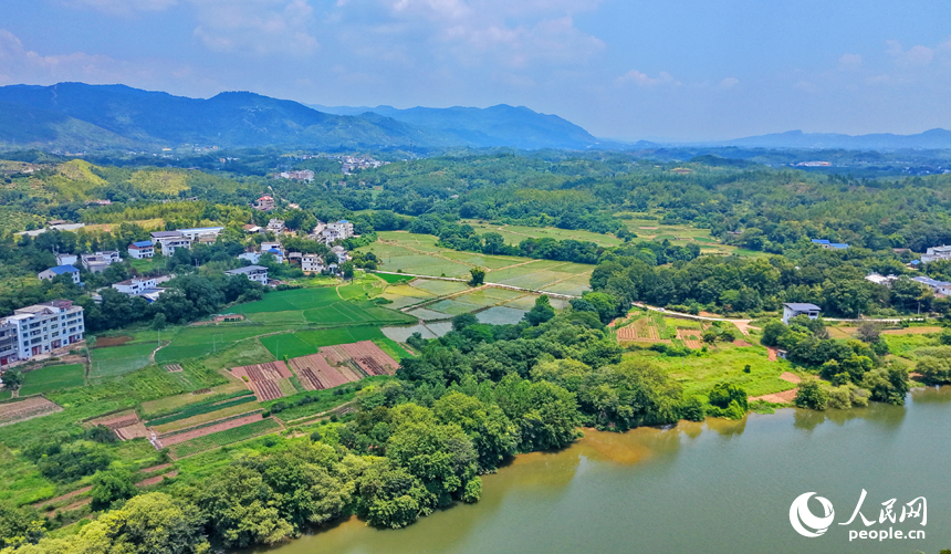 瑞金市谢坊镇迳桥村，绵江河畔群山连绵、树木葱茏，鳞次栉比的村庄房舍与农田鱼塘相映成趣。人民网记者 朱海鹏摄