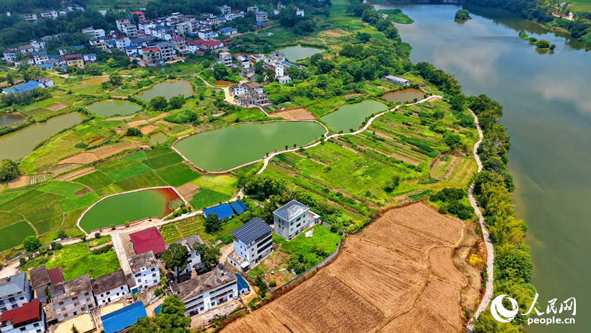 瑞金市谢坊镇迳桥村，绵江河畔群山连绵、树木葱茏，鳞次栉比的村庄房舍与农田鱼塘相映成趣。人民网记者 朱海鹏摄