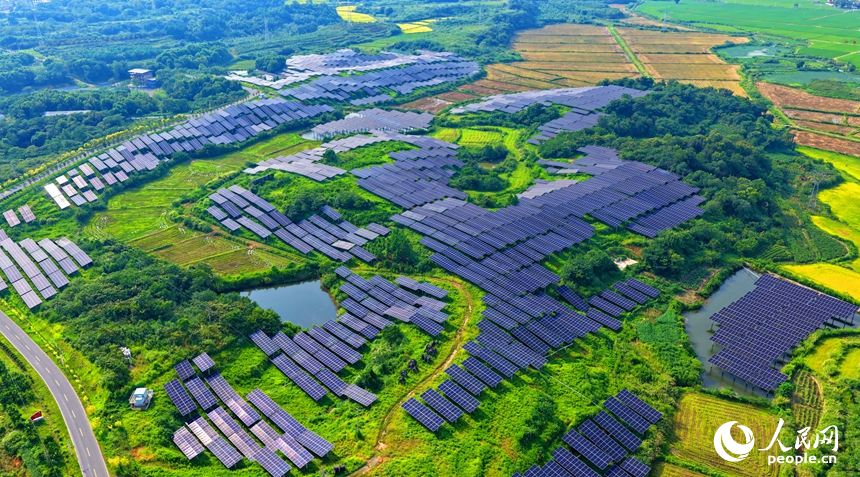 九江市湖口縣武山鎮王常村，連片的光伏發電板分布在林間空地上，與村庄沃野、山巒田疇交相輝映。人民網記者 朱海鵬攝