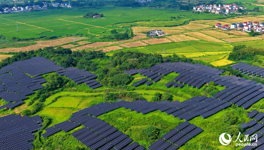 九江市湖口縣武山鎮王常村，連片的光伏發電板分布在林間空地上，與村庄沃野、山巒田疇交相輝映。人民網記者 朱海鵬攝