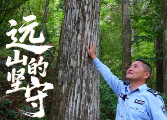 【视频】远山的坚守