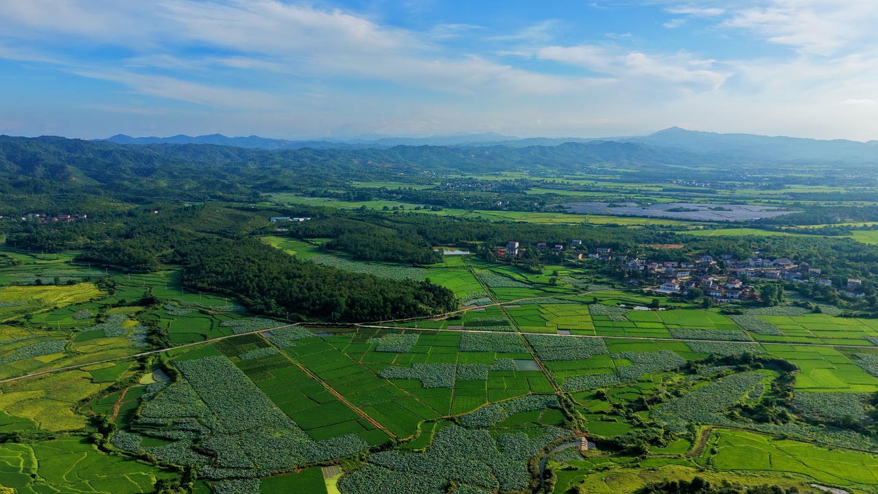 江西广昌：乡村盛夏 翠色欲流