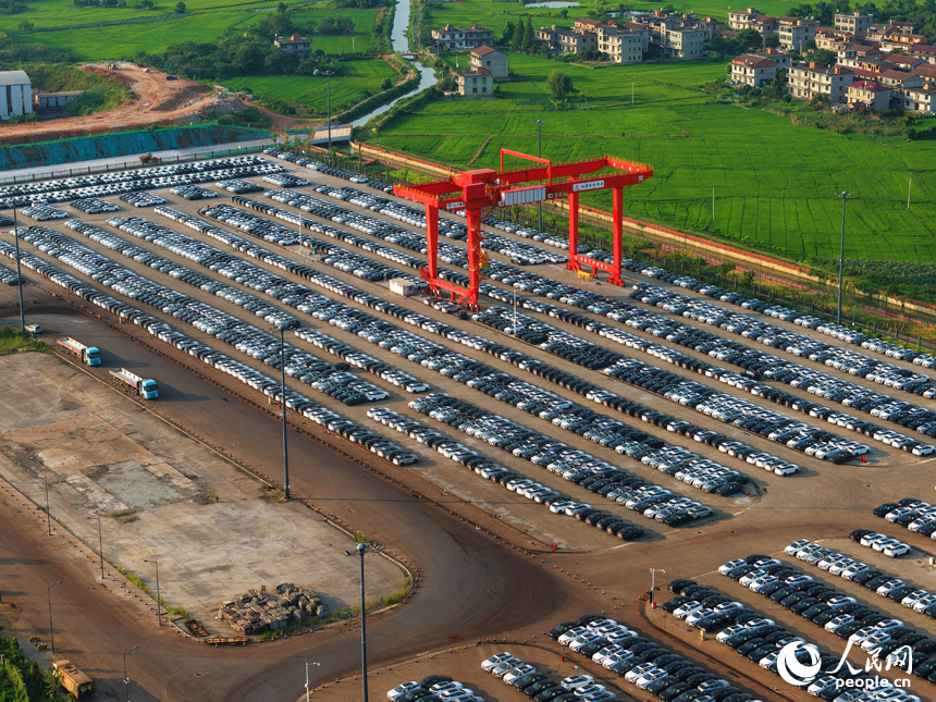  码头边等待装运的汽车。人民网记者 毛思远摄
