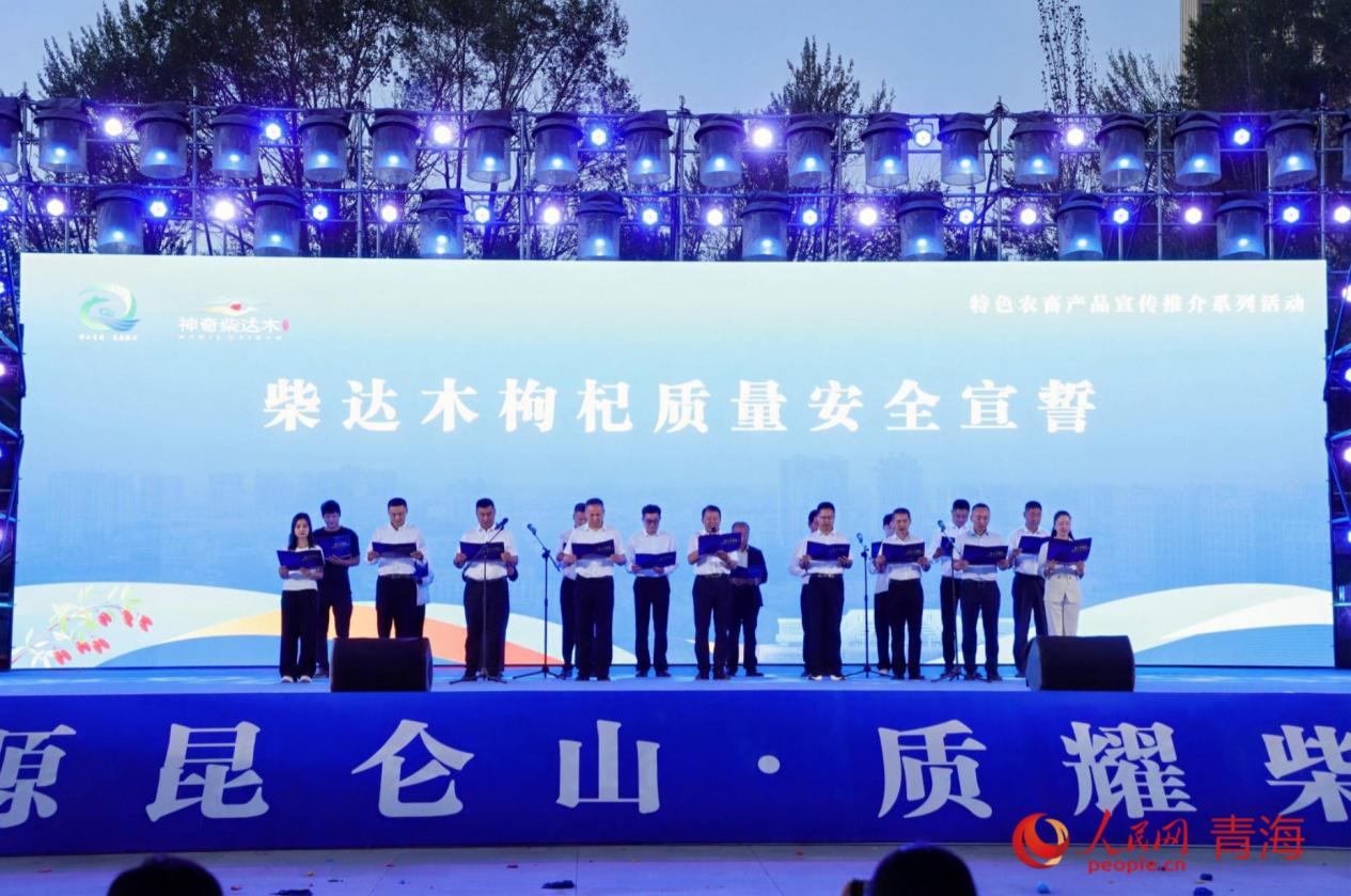 推介会现场。人民网记者 甘海琼摄