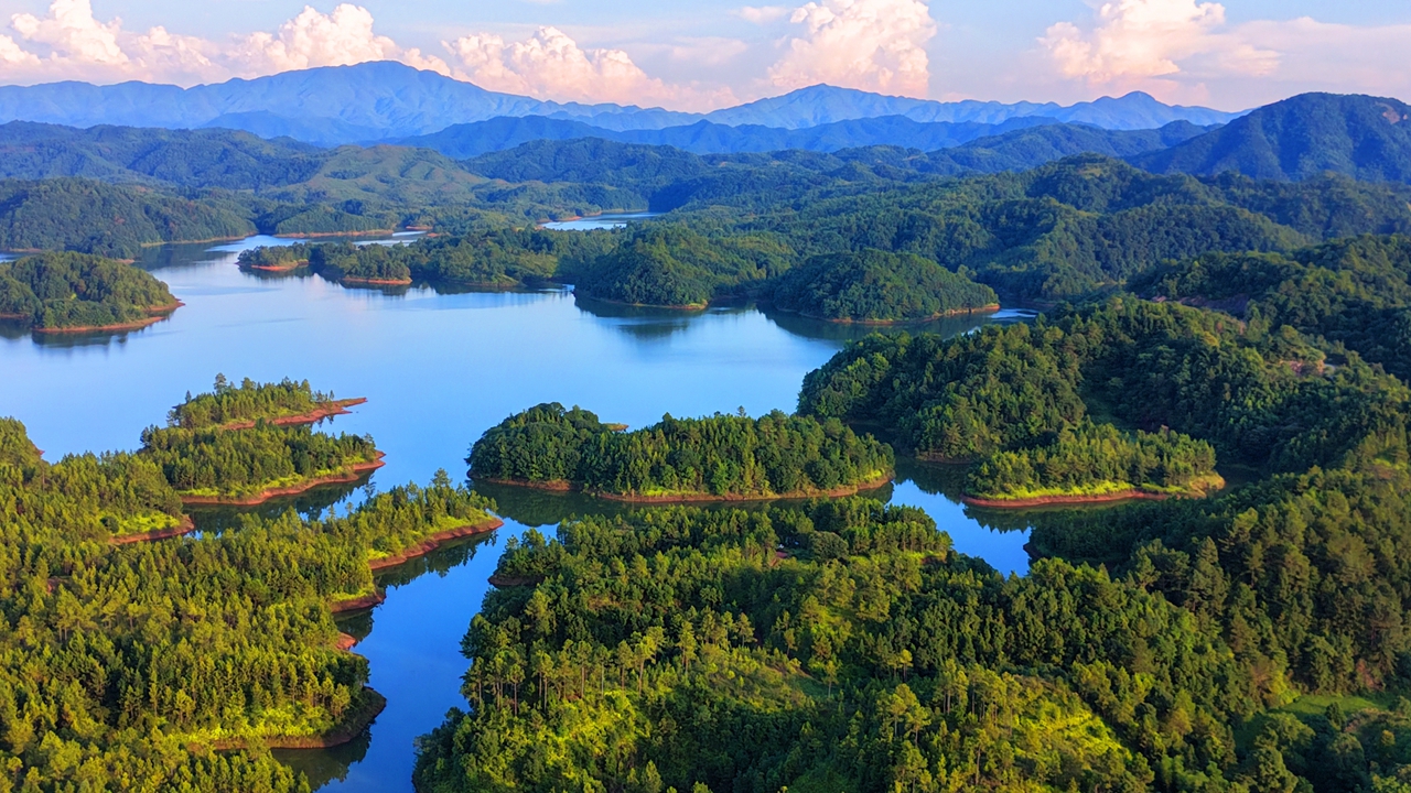 江西瑞金：滿目山水翠 盛夏風光美