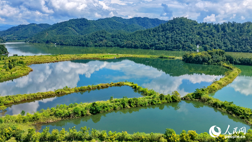 陽明湖國家濕地公園水域，樹木蔥郁、河流蜿蜒，與藍天白雲、蒼翠青山相映成景，勾勒出一幅水清岸綠的濕地生態畫卷。人民網記者 朱海鵬攝