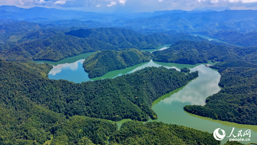 陽明湖國家濕地公園水域，樹木蔥郁、河流蜿蜒，與藍天白雲、蒼翠青山相映成景，勾勒出一幅水清岸綠的濕地生態畫卷。人民網記者 朱海鵬攝