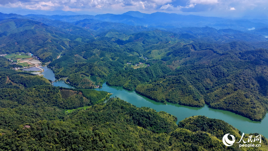 陽明湖國家濕地公園水域，樹木蔥郁、河流蜿蜒，與藍天白雲、蒼翠青山相映成景，勾勒出一幅水清岸綠的濕地生態畫卷。人民網記者 朱海鵬攝