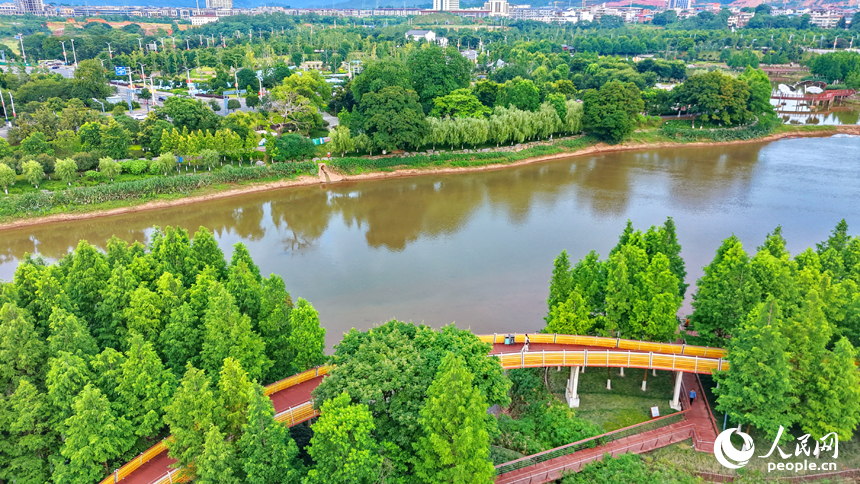 瑞金市象湖街道的一處“口袋公園”，樹木蔥郁、綠道蜿蜒，成為市民健身游玩的好去處。人民網記者 朱海鵬攝
