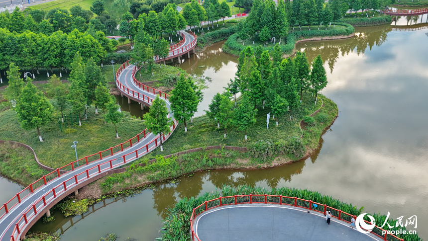 瑞金市象湖街道的一處“口袋公園”，樹木蔥郁、綠道蜿蜒，成為市民健身游玩的好去處。人民網記者 朱海鵬攝