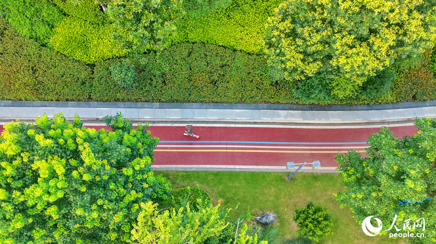 瑞金市象湖街道的一處“口袋公園”，樹木蔥郁、綠道蜿蜒，成為市民健身游玩的好去處。人民網記者 朱海鵬攝
