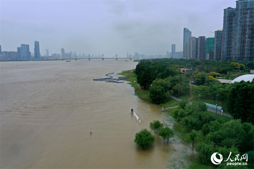 受持续降雨和上游来水影响，赣江南昌段水位上涨。人民网记者 时雨摄