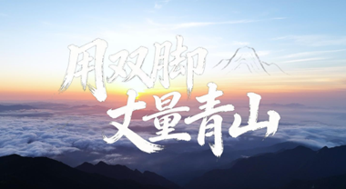 雙腳丈量青山 二十載守望林海
