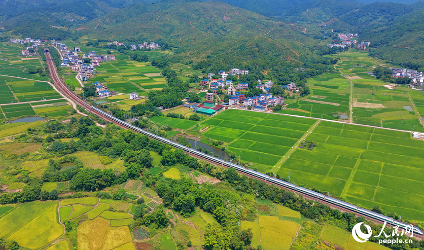 赣州市信丰县西牛镇黄泥村，复兴号CR200J3型动力集中动车组行驶在京九铁路线上。人民网记者 朱海鹏摄